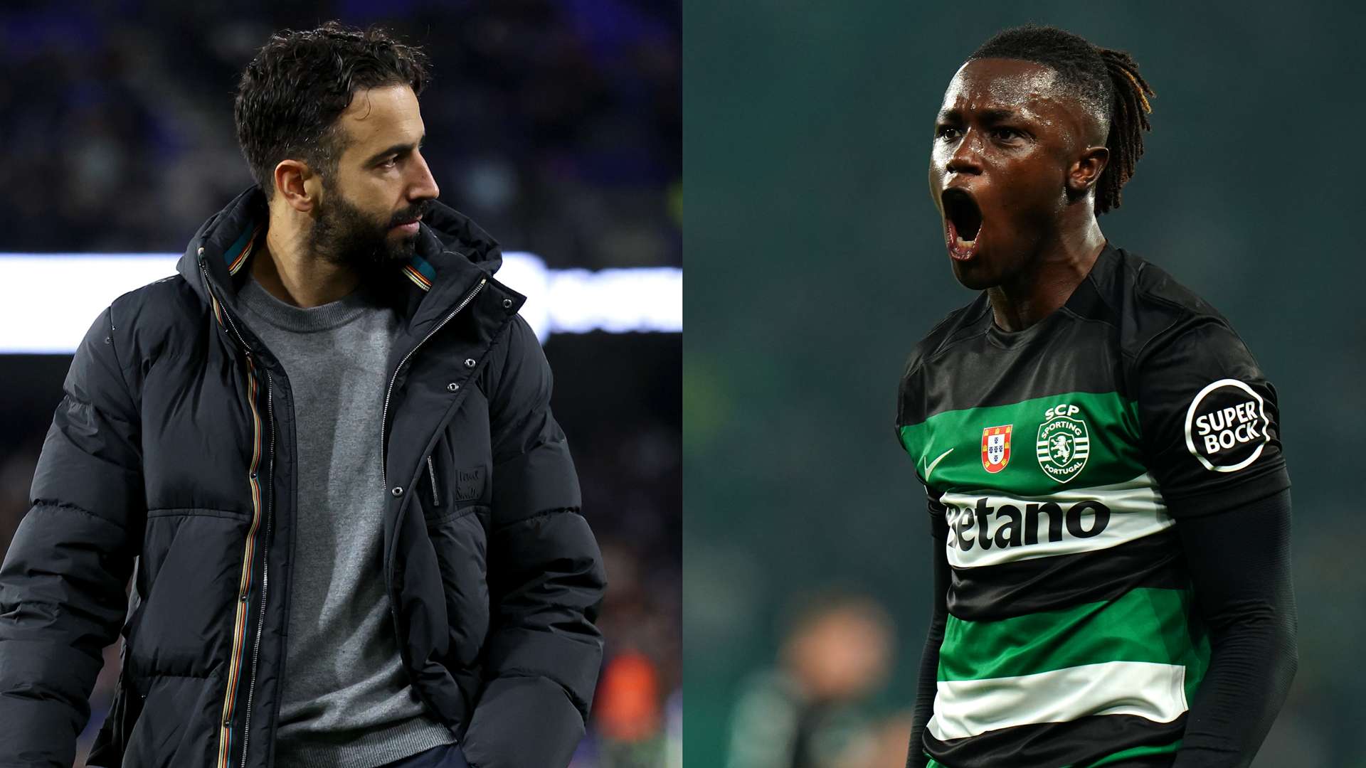 球队内部的 球队内部的